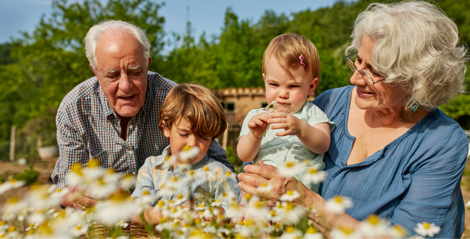 Bild mit Grosseltern und Enkelkindern in der Natur